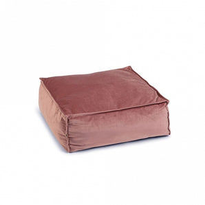 Designed by Lotte Katzenkissen Velveti - Verschiedene Ausführungen